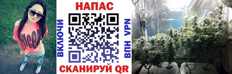 Какие есть наркотики Омутнинск ГАШИШ  Alpha-PVP  Меф мяу мяу  Cocaine 