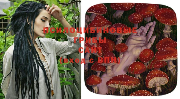 крисы Балабаново